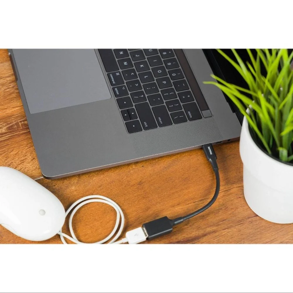 Philips USB-C to 3.1 USB-A Female Adaptor